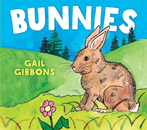 Bunnies (Board Books)