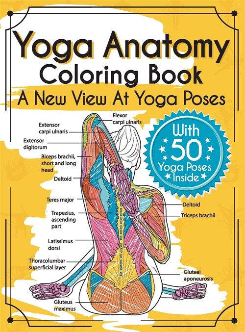 Yoga Anatomy Coloring Book: A New View At Yoga Poses (Hardcover)