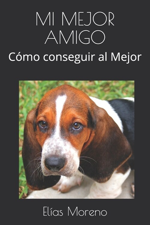 Mi Mejor Amigo: C?o conseguir al Mejor (Paperback)