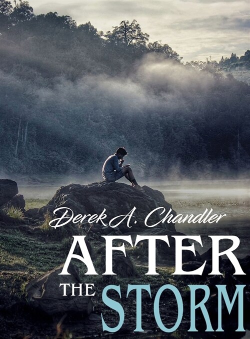 After the Storm (Hardcover)