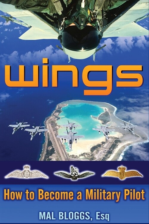 Wings - How to Become a Military Pilot (Paperback)