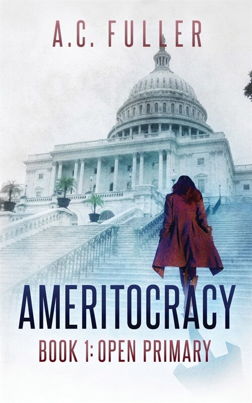 Ameritocracy: Open Primary (Paperback)