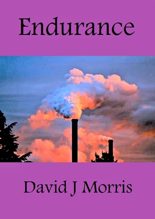 Endurance (Paperback)