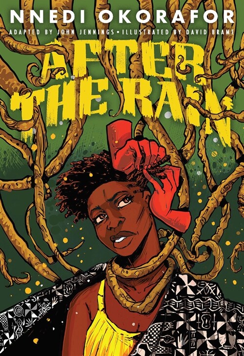 After the Rain: A Graphic Novel (Hardcover)