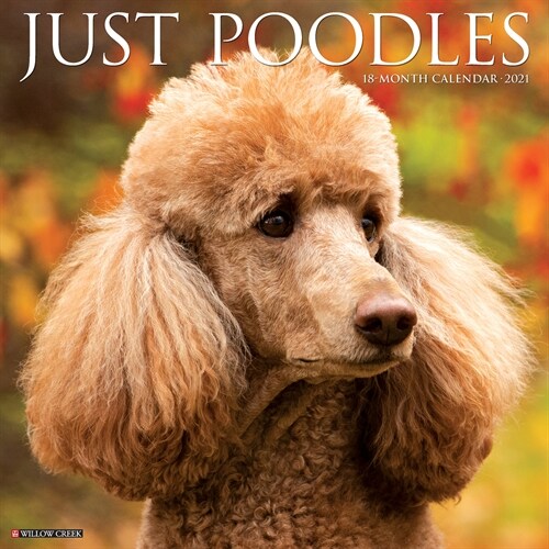 Just Poodles 2021 Wall Calendar (Dog Breed Calendar) (Wall)