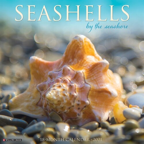 Seashells 2021 Wall Calendar (Wall)