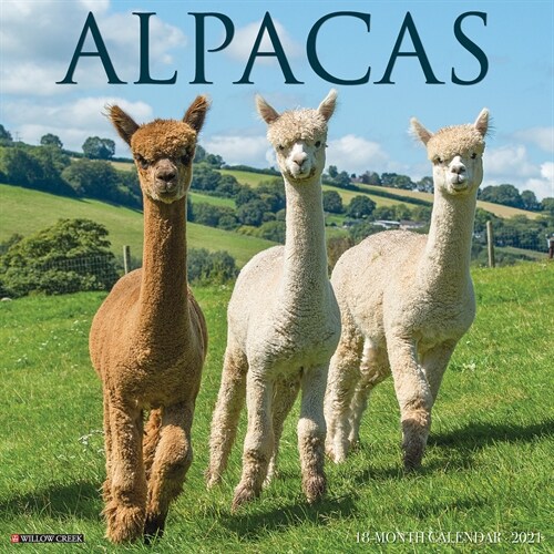 Alpacas 2021 Wall Calendar (Wall)