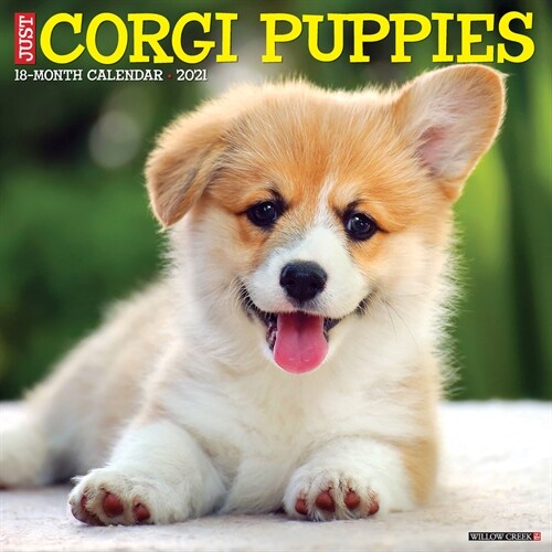 Just Corgi Puppies 2021 Wall Calendar (Dog Breed Calendar) (Wall)
