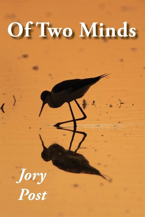 Of Two Minds (Paperback)