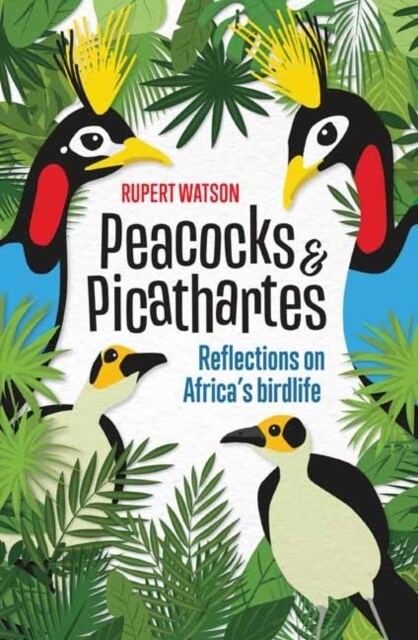 Peacocks & Picathartes: Reflections on Africas Birdlife (Paperback)