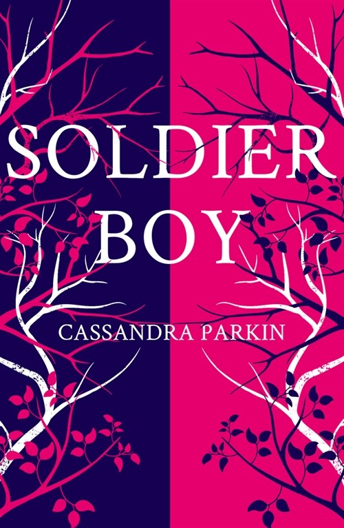 Soldier Boy (Paperback)