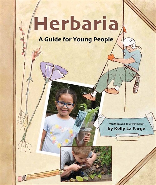 Herbaria: A Guide for Young People (Hardcover)