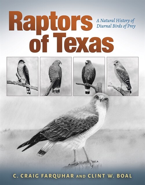 Raptors of Texas: A Natural History of Diurnal Birds of Prey (Hardcover)