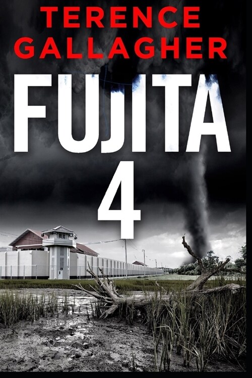 Fujita 4 (Paperback)