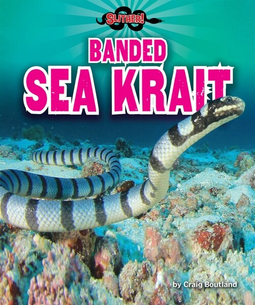 Banded Sea Krait (Library Binding)