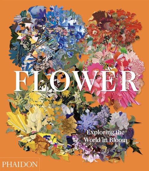 [중고] Flower : Exploring the World in Bloom (Hardcover)