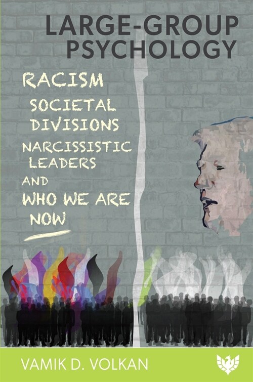 Large-Group Psychology : Racism, Societal Divisions, Narcissistic Leaders and Who We Are Now (Paperback)