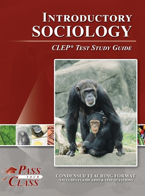 Introductory Sociology CLEP Test Study Guide (Hardcover)