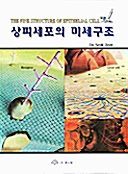 상피세포의 미세구조