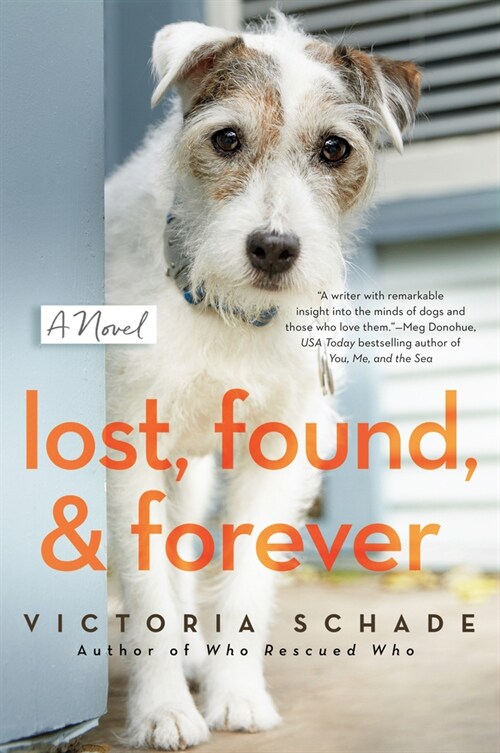 Lost, Found, and Forever (Paperback)