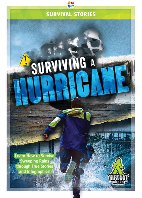 Surviving a Hurricane (Hardcover)