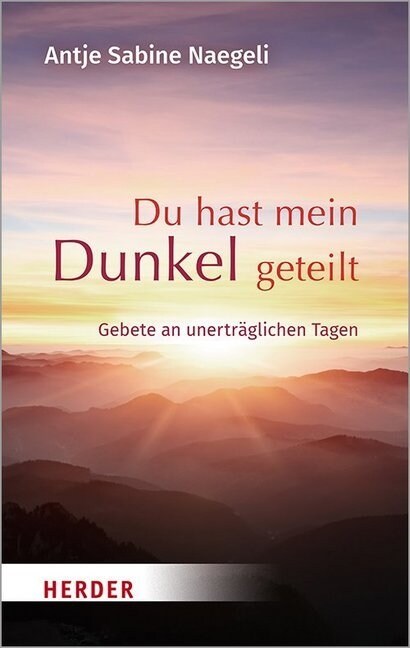 Du Hast Mein Dunkel Geteilt: Gebete an Unertraglichen Tagen (Paperback)