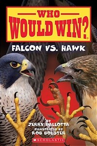 Falcon vs. Hawk (Who Would Win?), Volume 23 (Paperback)