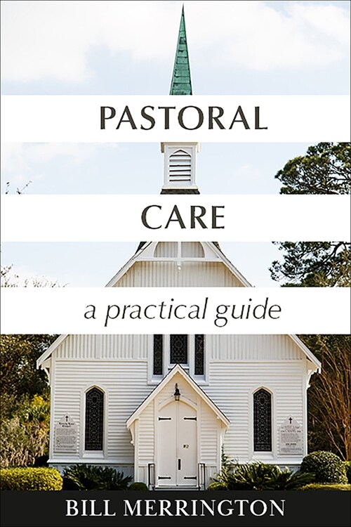 Pastoral Care: A Practical Guide (Paperback)