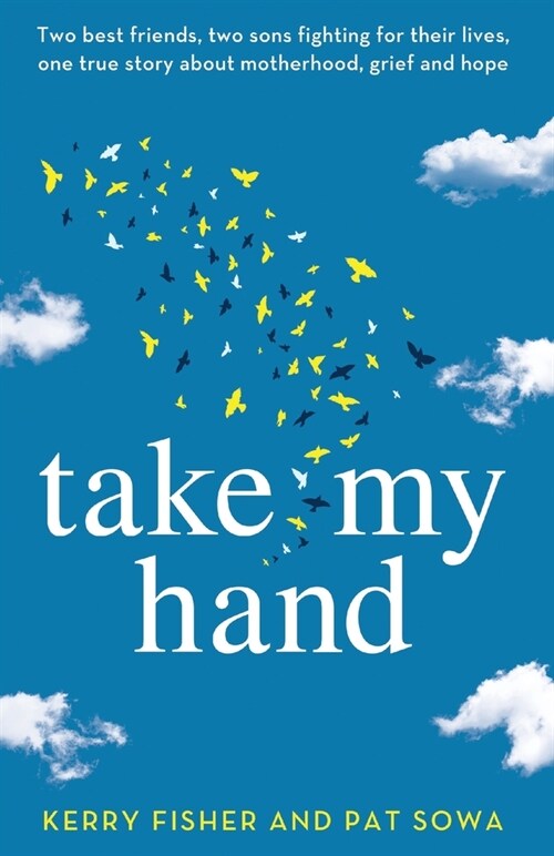 Take My Hand : Two best friends, two sons fighting for their lives, one true story about motherhood, grief and hope. (Paperback)