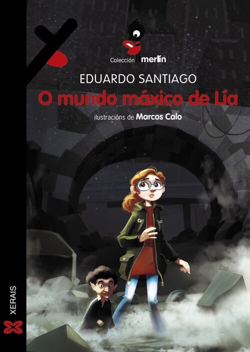 O MUNDO MAXICO DE LIA GALLEGO (Other Book Format)