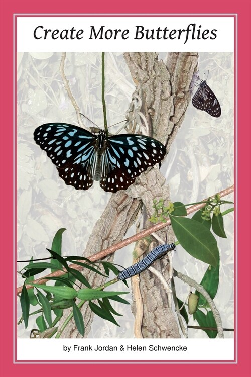 Create More Butterflies: A Guide to 48 butterflies and their host-plants for South-east Queensland and Northern New South Wales (Paperback)