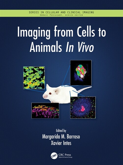 Imaging from Cells to Animals In Vivo (Hardcover, 1)