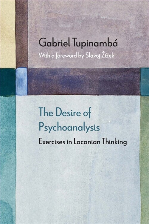 The Desire of Psychoanalysis: Exercises in Lacanian Thinking (Hardcover)