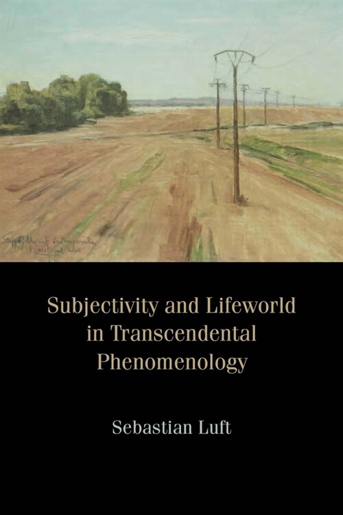 Subjectivity and Lifeworld in Transcendental Phenomenology (Paperback)