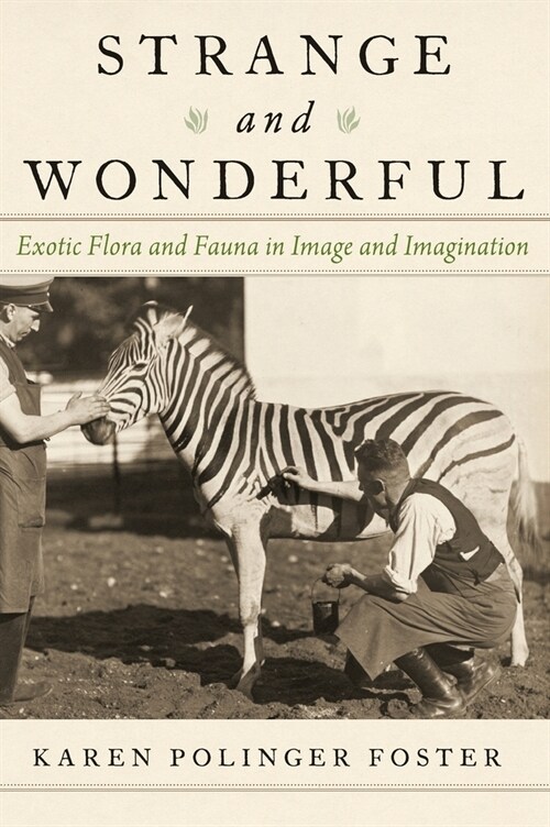 Strange and Wonderful: Exotic Flora and Fauna in Image and Imagination (Hardcover)