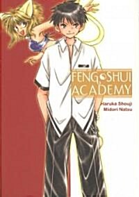 Feng Shui Academy (Paperback)