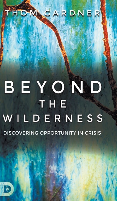 Beyond the Wilderness: Discovering Opportunity in Crisis (Hardcover)