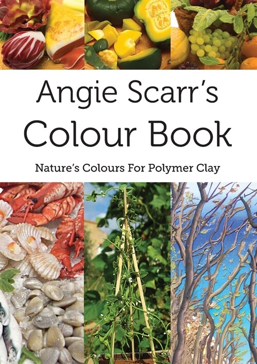 Angie Scarrs Colour Book: Natures Colours For polymer Clay (Paperback)