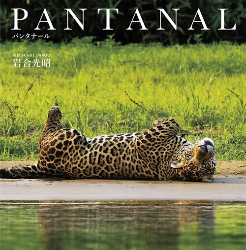 PANTANAL(パンタナ-ル)