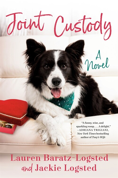 Joint Custody (Paperback)