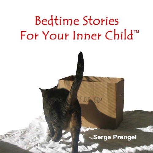 Bedtime Stories For Your Inner Child (Paperback)