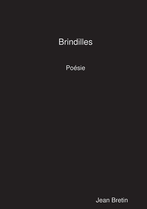 Brindilles (Paperback)