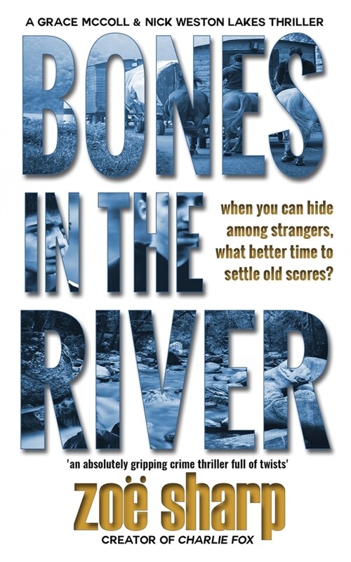 Bones In The River (Paperback)