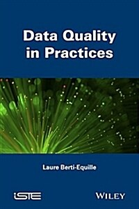 Data Quality in Practices (Hardcover)