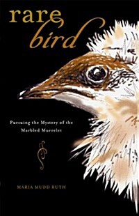 Rare Bird: Pursuing the Mystery of the Marbled Murrelet (Paperback)