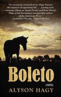 Boleto (Paperback, Large Print)