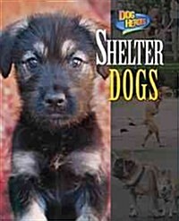 Shelter Dogs (Library Binding)