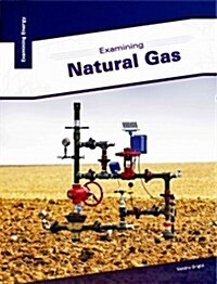 Examining Natural Gas (Hardcover)