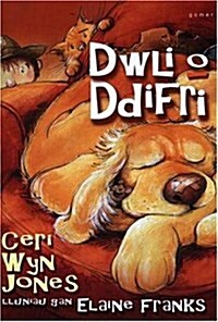 Dwli O Ddifri (Paperback)