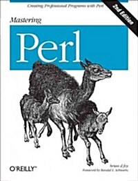 Mastering Perl: Creating Professional Programs with Perl (Paperback, 2)